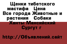 Щенки тибетского мастифа › Цена ­ 80 - Все города Животные и растения » Собаки   . Ханты-Мансийский,Сургут г.